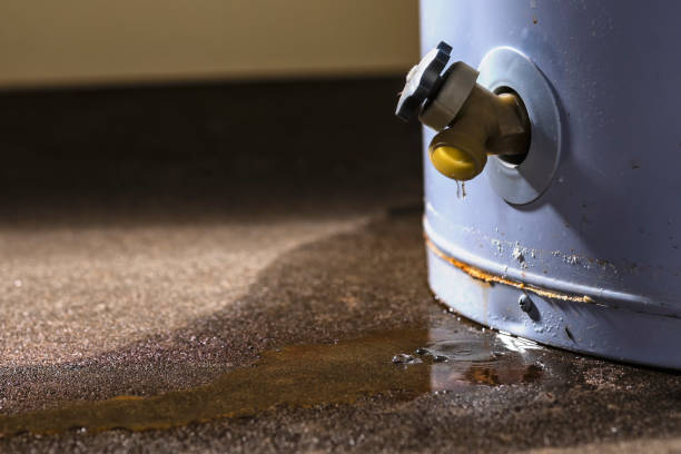 Best Water damage restoration near me  in Butner, NC