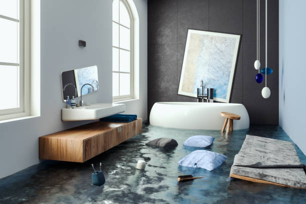 Best Mold removal after water damage  in Butner, NC