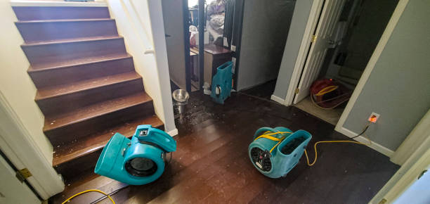 Best Flood damage cleanup  in Butner, NC