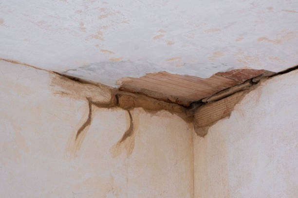 Trusted Butner, NC Water damage restoration Experts