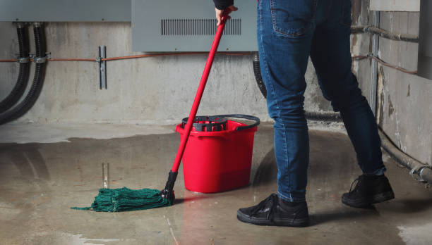 Best Local water damage restoration  in Butner, NC