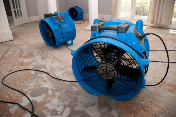 Best 24-hour water damage restoration  in Butner, NC