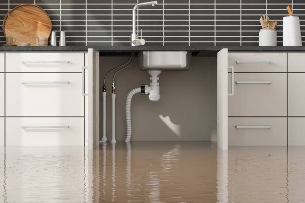 Best Sewage cleanup and water damage restoration  in Butner, NC